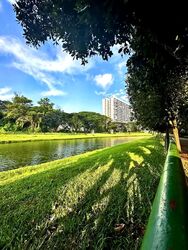 Blk 115 Potong Pasir Avenue 1 (Toa Payoh), HDB 4 Rooms #564238111